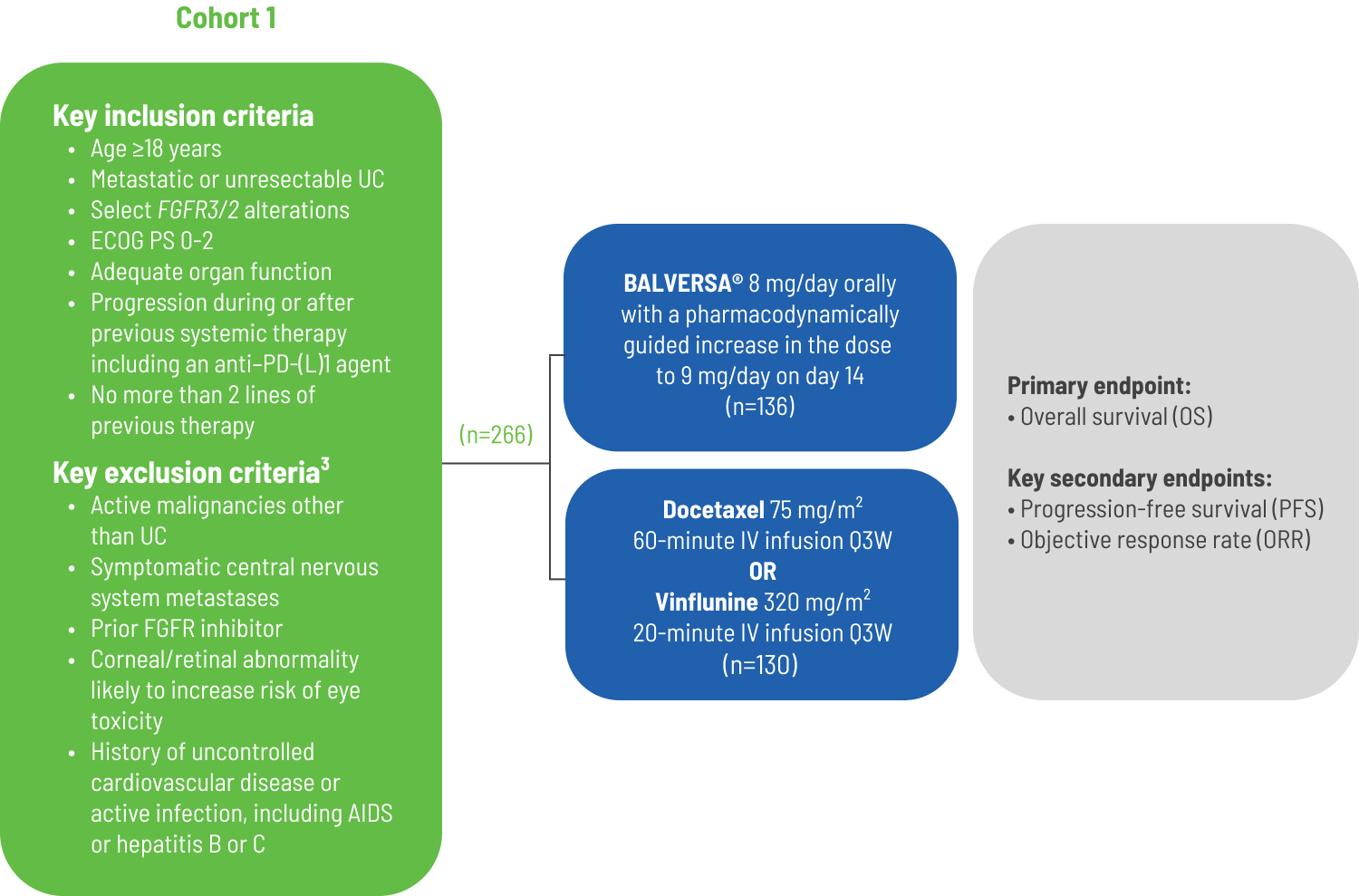 Flow chart showing the clinical study design for BALVERSA